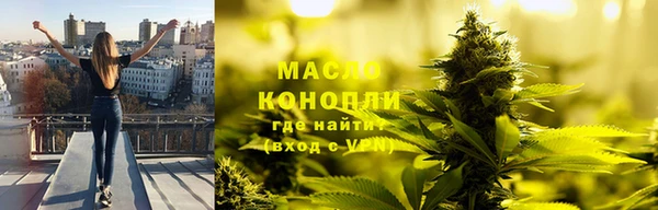 мдпв Богородицк