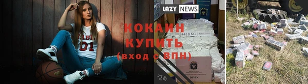 гидропоника Богданович