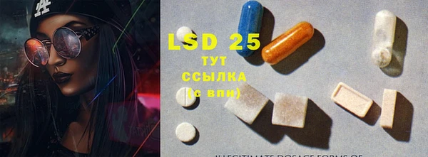 мдпв Богородицк