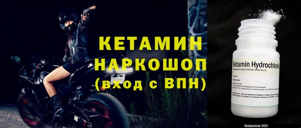 сатива Белокуриха