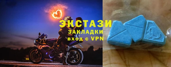 мдпв Богородицк