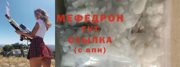 spice Богородск