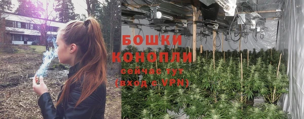 spice Богородск
