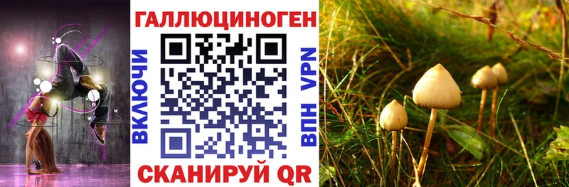 Галлюциногенные грибы прущие грибы где купить наркоту Кириши